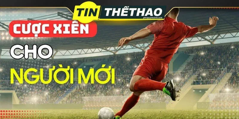 Cách tính cược xiên dễ hiểu tại tin thể thao