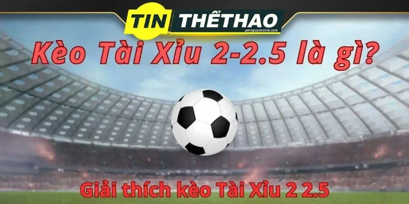 Kèo Tài Xỉu 2-2.5 Là Gì? Bật Mí Chơi Kèo Tài Xỉu Luôn Thắng