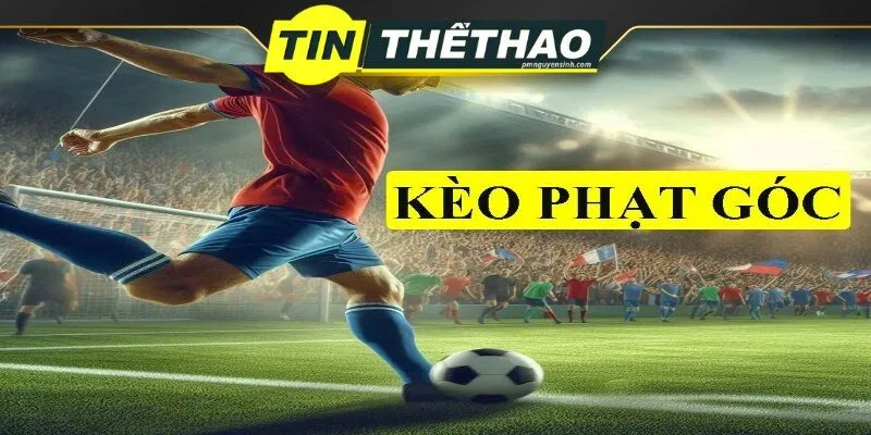 Soi kèo phạt góc tại tin thể thao có những gì?